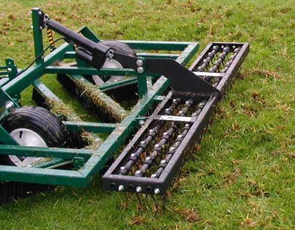 Model STR - Spring Tine Rake